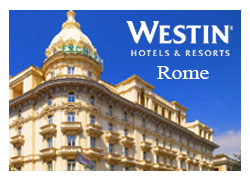 NPlogo-WestinRome NPlogo-WestinRome